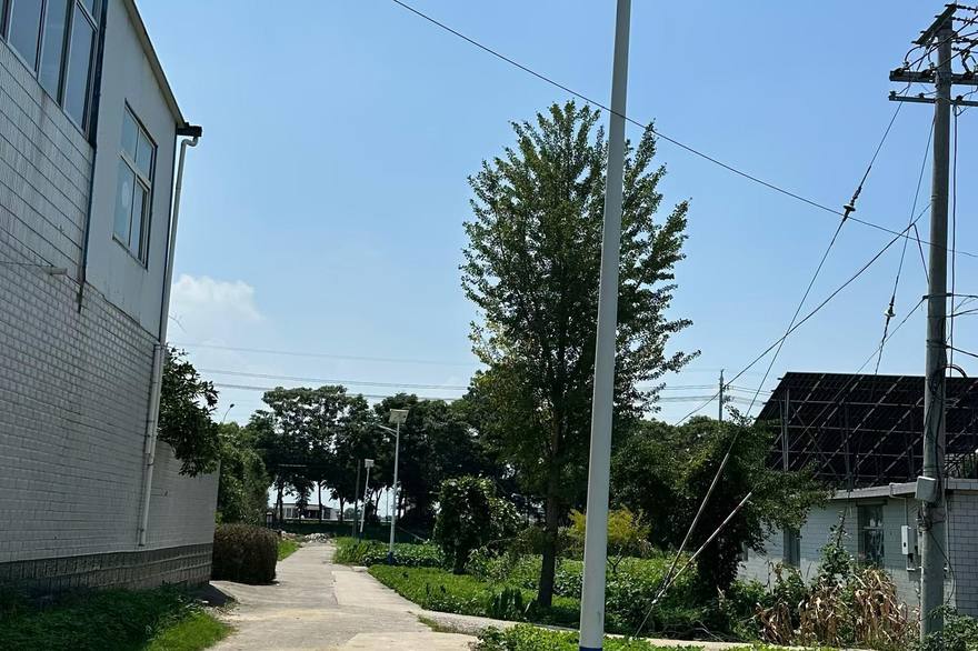江门市太阳能路灯应用场景实拍