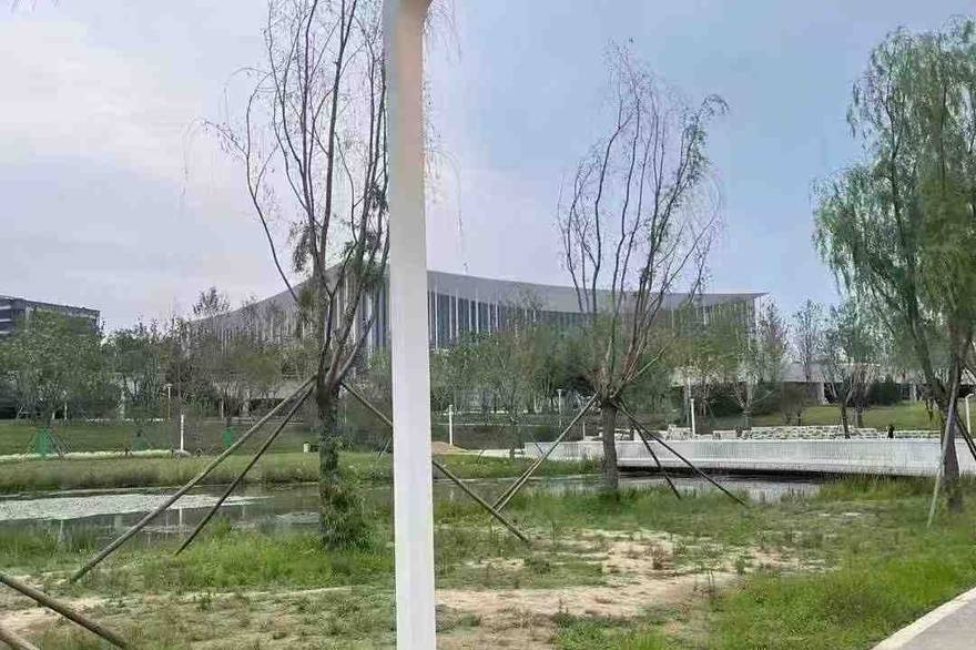 湛江市太阳能路灯应用场景实拍