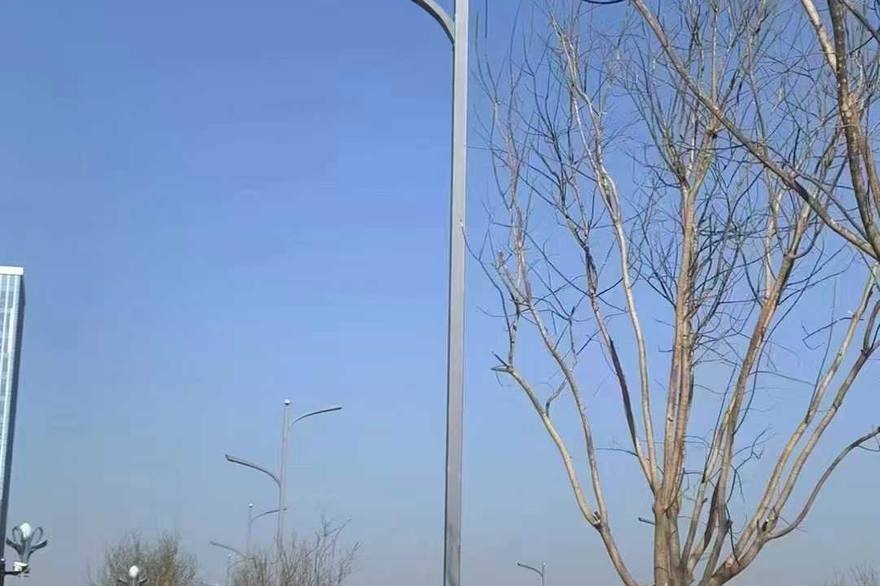 清远市太阳能路灯应用场景实拍